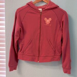 Vintage Walt Disney World Hoodie